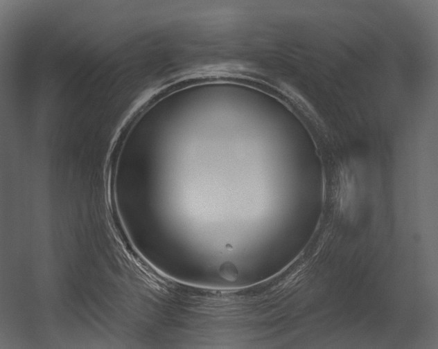 X0000054421224200507291240