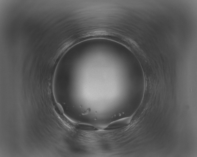 X0000054421225200507291240