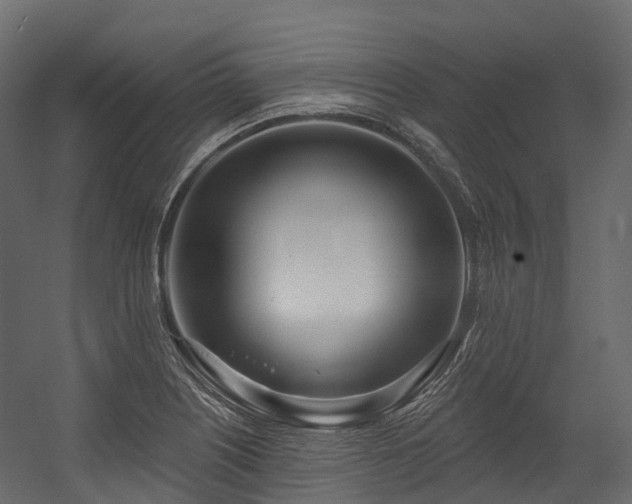 X0000054421226200507291240