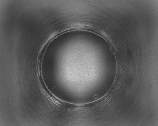 X0000054421227200507291240