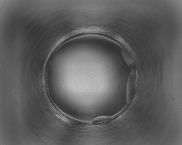 X0000054421232200507291240