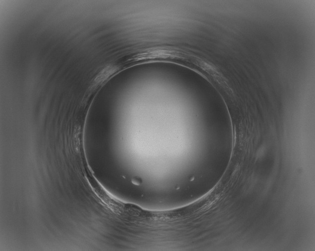 X0000054421233200507291240