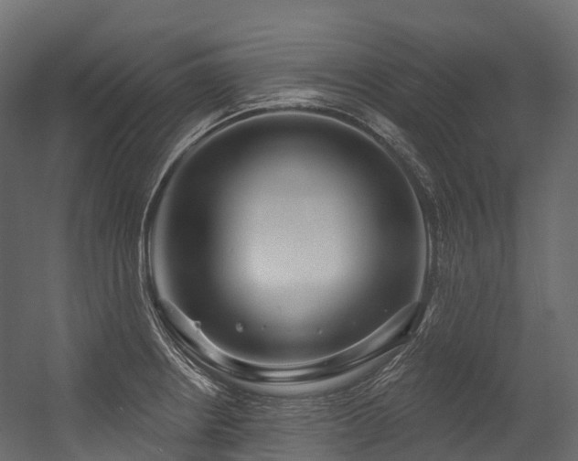 X0000054421234200507291240