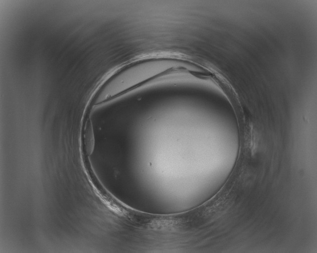 X0000054421237200507291241