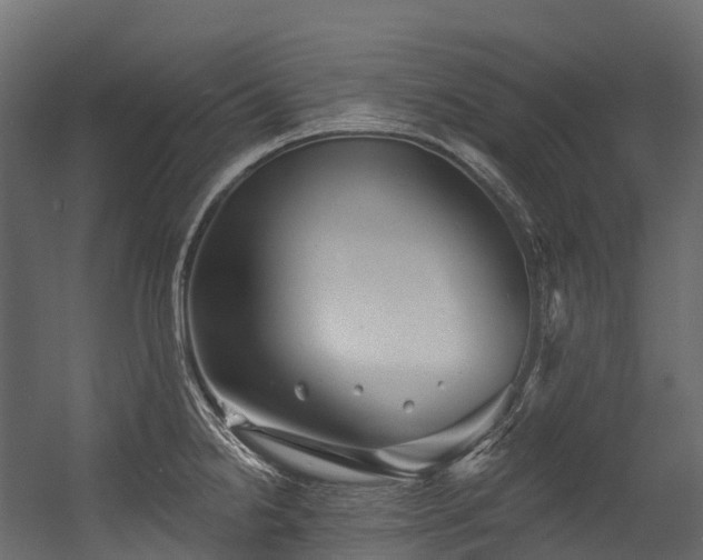 X0000054421238200507291241