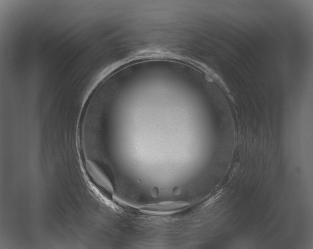 X0000054421239200507291241