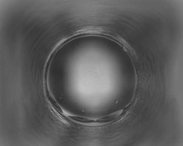 X0000054421240200507291241