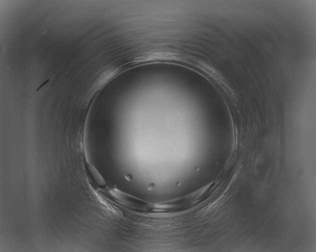 X0000054421241200507291241