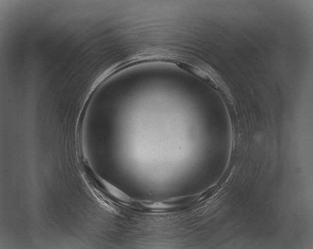 X0000054421242200507291241