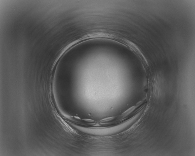 X0000054421244200507291241