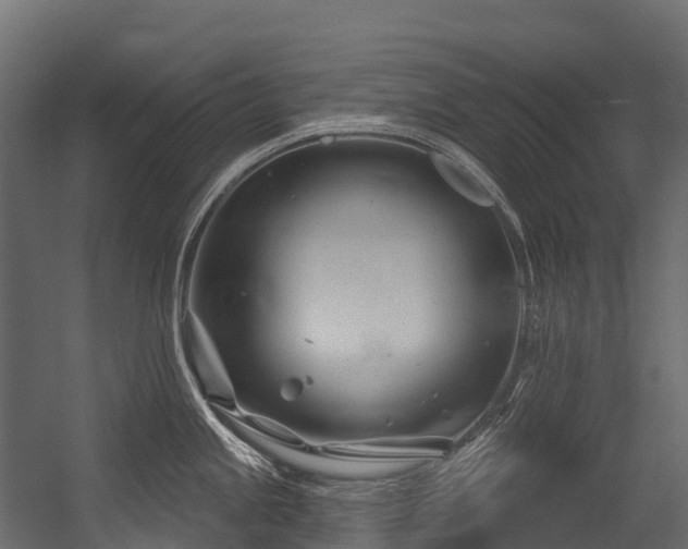 X0000054421245200507291241