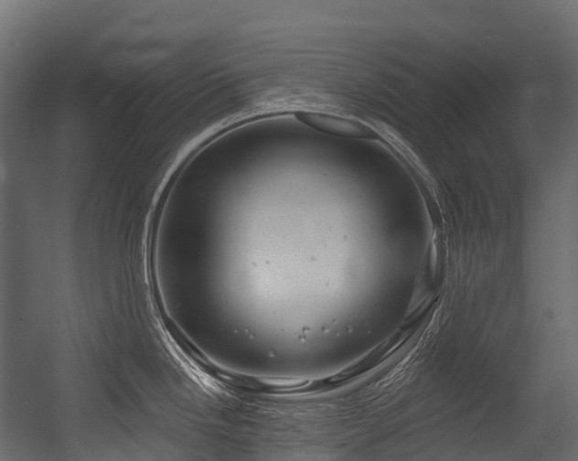 X0000054421246200507291241