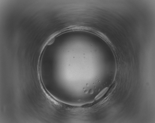 X0000054421247200507291241