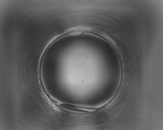 X0000054421248200507291241