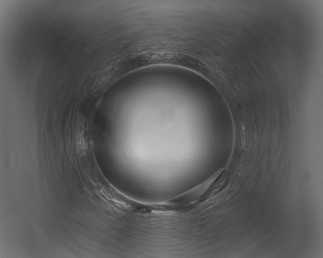 X0000054421250200507291240