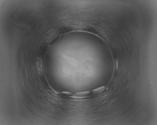 X0000054421251200507291240