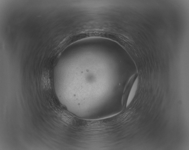 X0000054421252200507291240