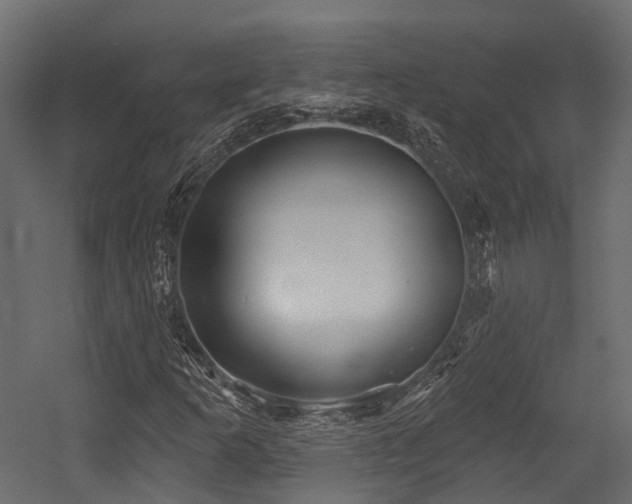 X0000054421253200507291240