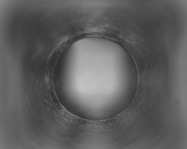 X0000054421254200507291240