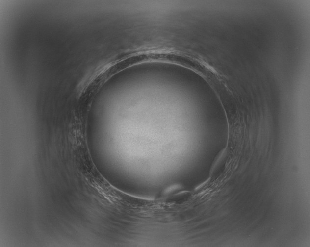 X0000054421255200507291240