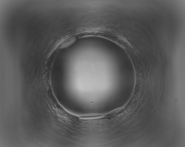 X0000054421256200507291240