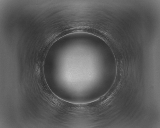 X0000054421257200507291240