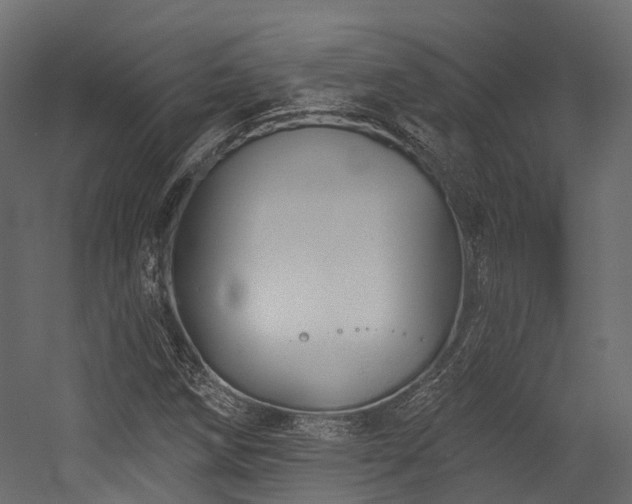 X0000054421258200507291240