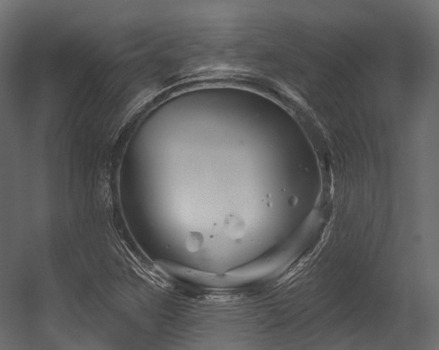 X0000054421259200507291240