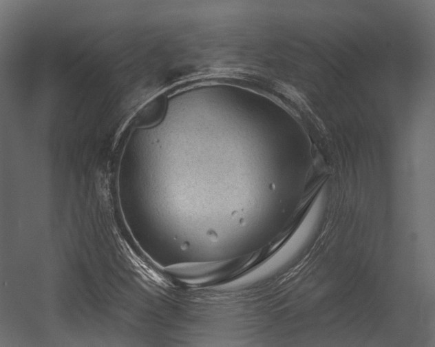 X0000054421260200507291240