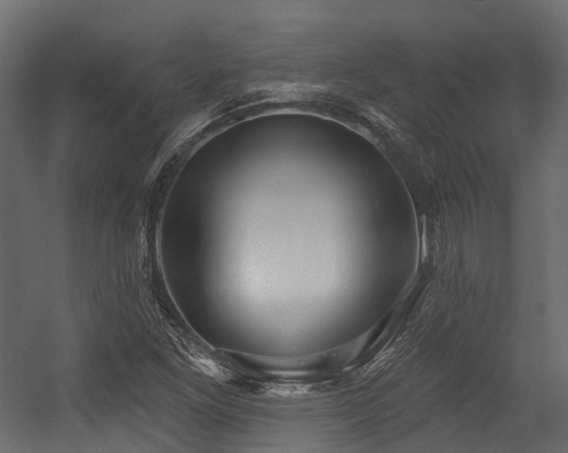 X0000054421261200507291240