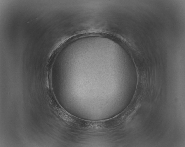 X0000054421262200507291240