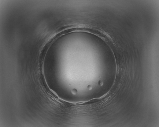 X0000054421263200507291240