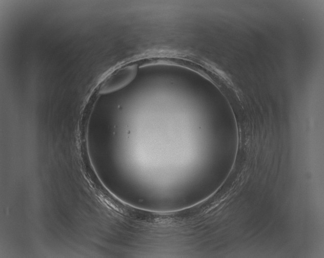 X0000054421264200507291240