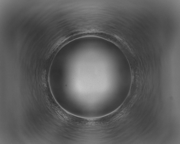 X0000054421265200507291240