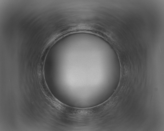 X0000054421266200507291240