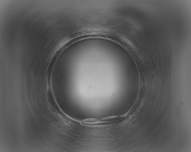 X0000054421267200507291240