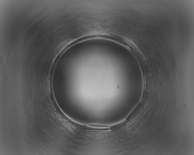 X0000054421268200507291240