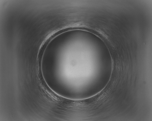 X0000054421270200507291240