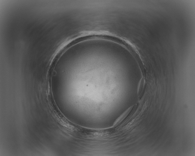 X0000054421271200507291240