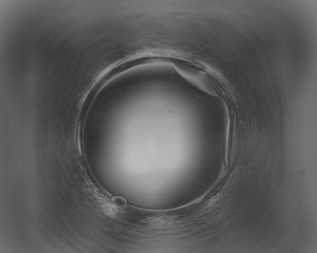 X0000054421272200507291239