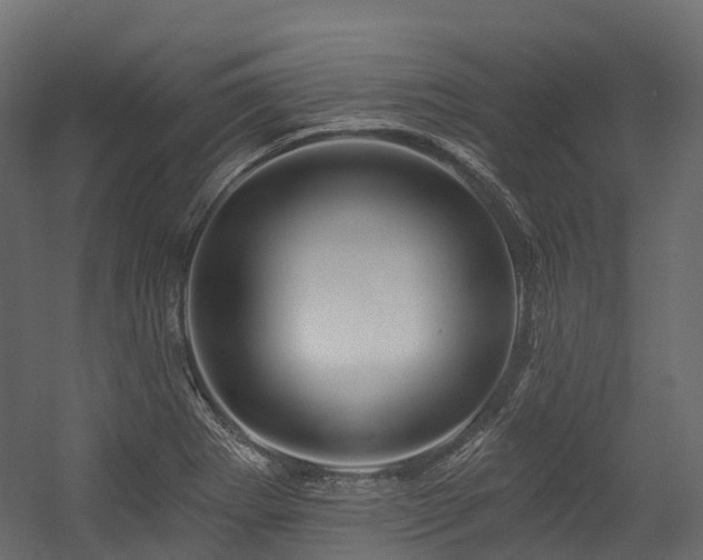 X0000054421273200507291239