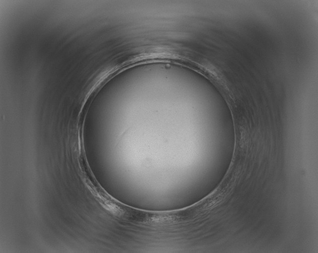 X0000054421274200507291239