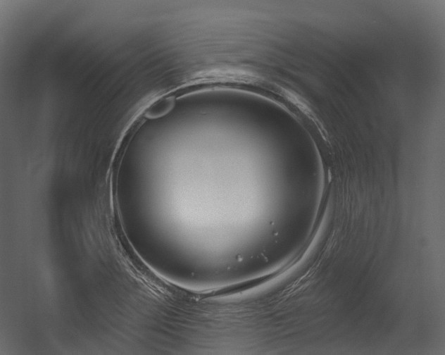 X0000054421275200507291239