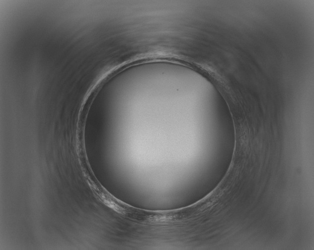 X0000054421278200507291239