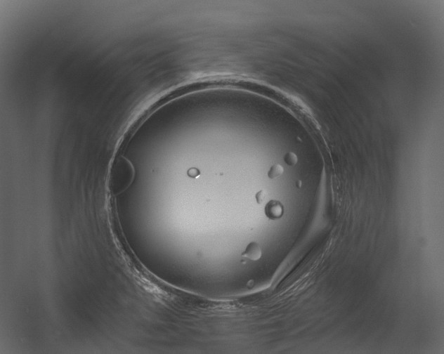 X0000054421279200507291239