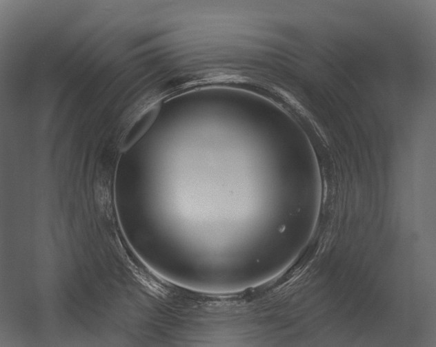 X0000054421281200507291239