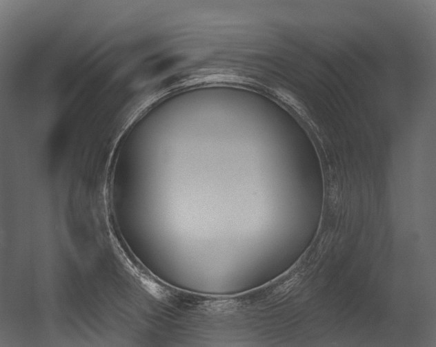 X0000054421282200507291239