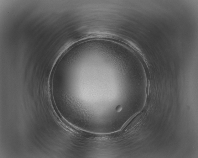 X0000054421283200507291239