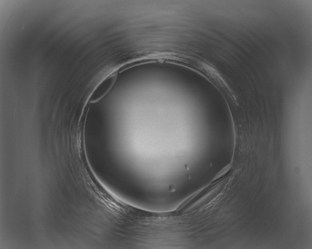 X0000054421284200507291239