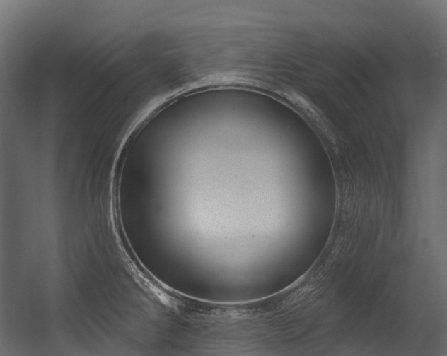 X0000054421286200507291239